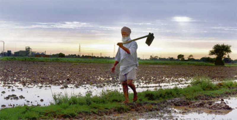 Punjab Farmer Punjab Farmer