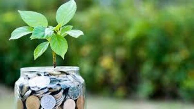 Agriculture Loan Agriculture Loan