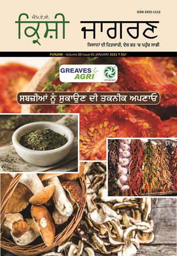 Krishi Jagran Punjabi Magazine Subscription