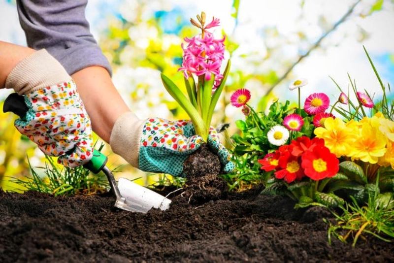 Horticultural Horticultural