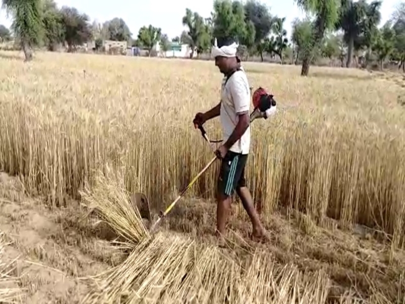Brush Cutter Brush Cutter