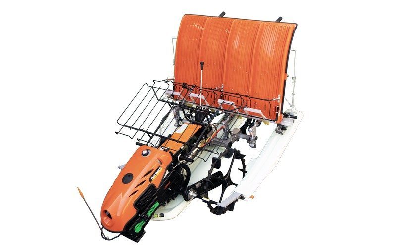 Paddy ropak-37 Paddy ropak-37