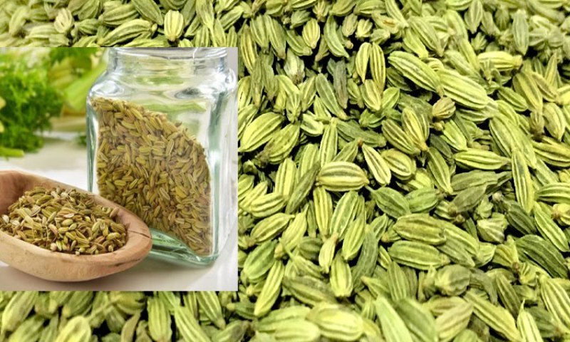 Aniseed Aniseed