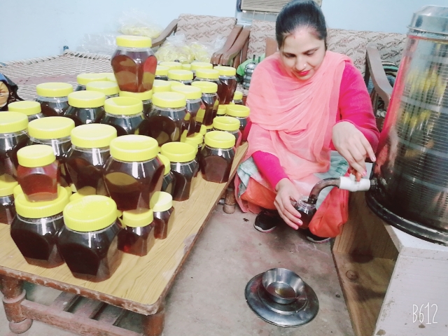 Paramveer Kaur Paramveer Kaur
