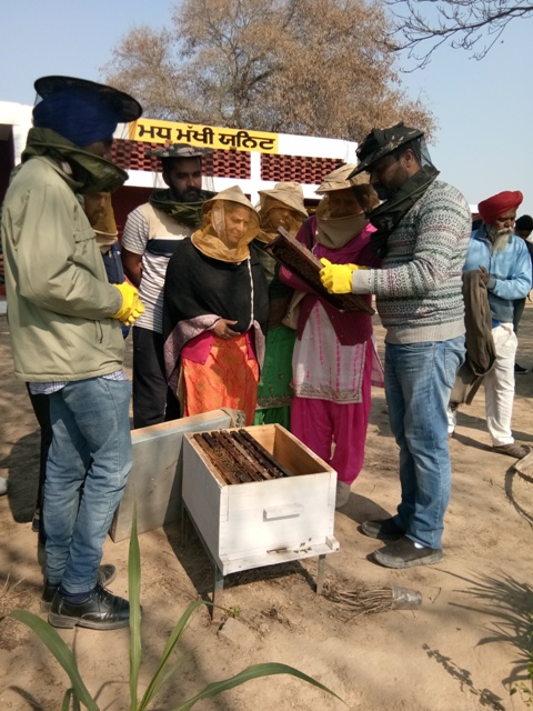 Paramveer Kaur Paramveer Kaur