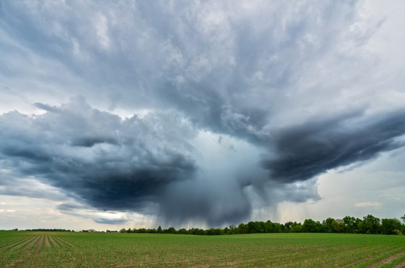 weather weather