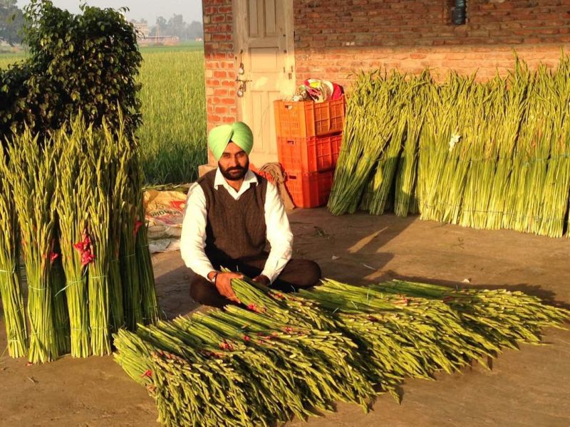 Successful Flower Producer Successful Flower Producer