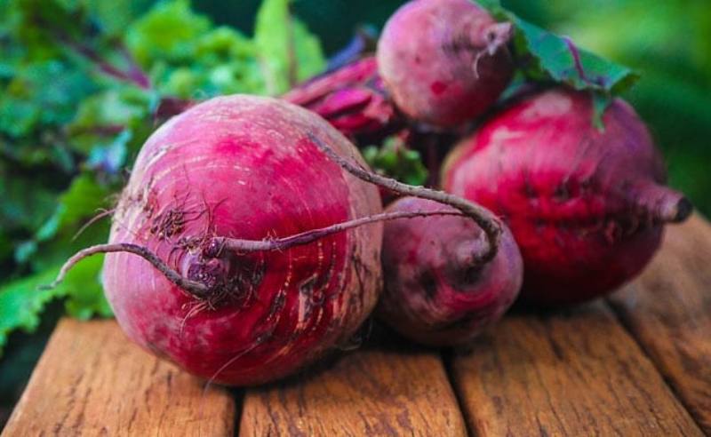 Beetroot Benefits Beetroot Benefits