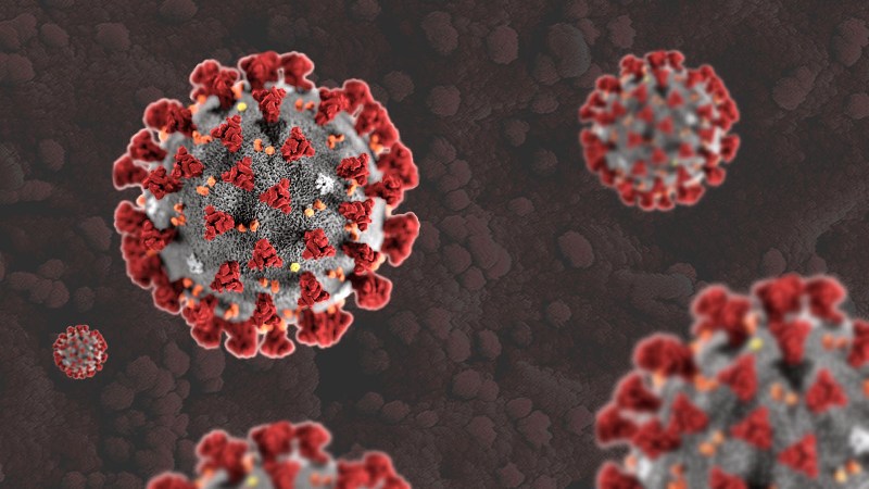 Coronavirus Update Coronavirus Update