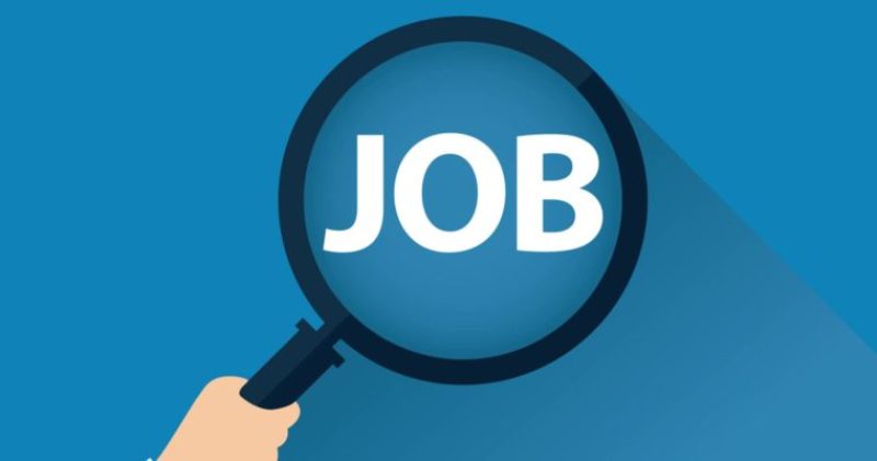 punjab jobs punjab jobs