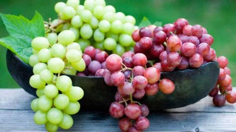 Grapes Grapes