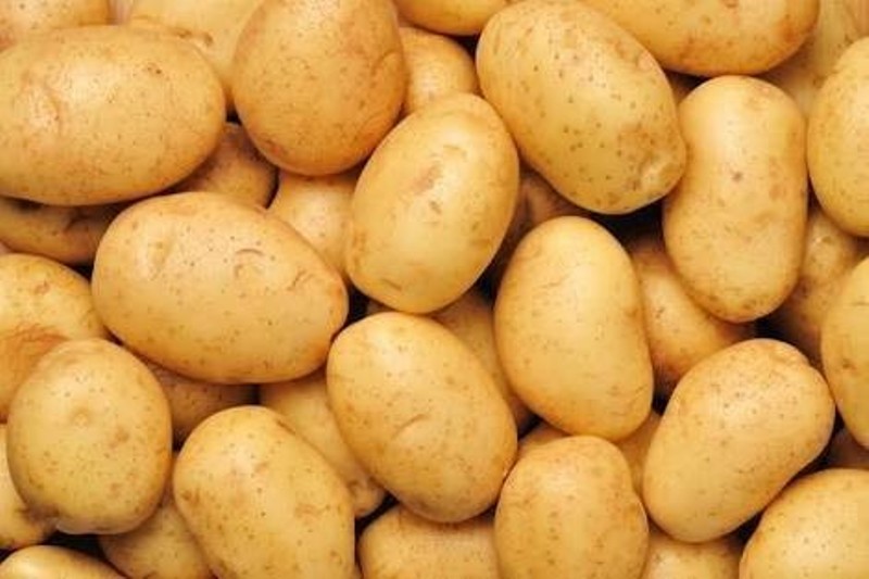 Patato Patato
