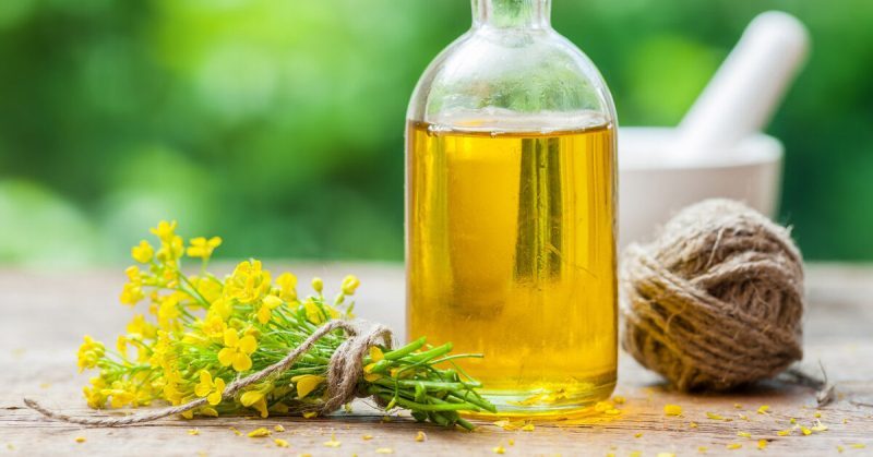 canola oil canola oil