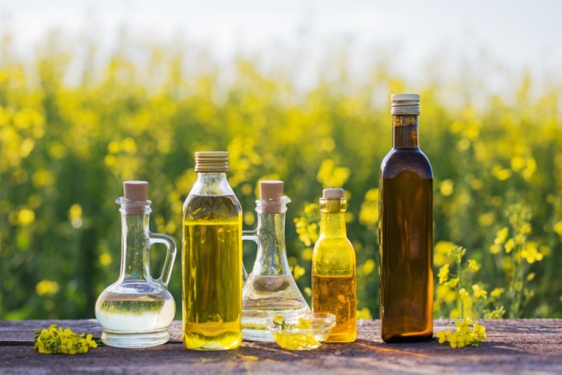 Canola Oil Canola Oil