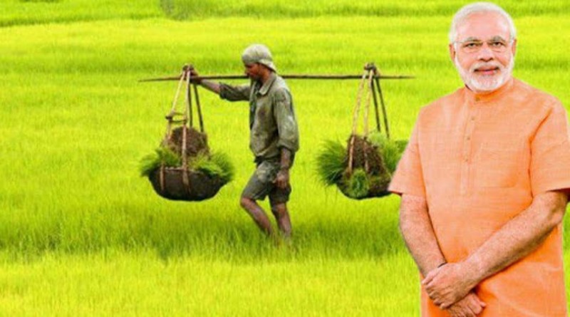 Modi Modi