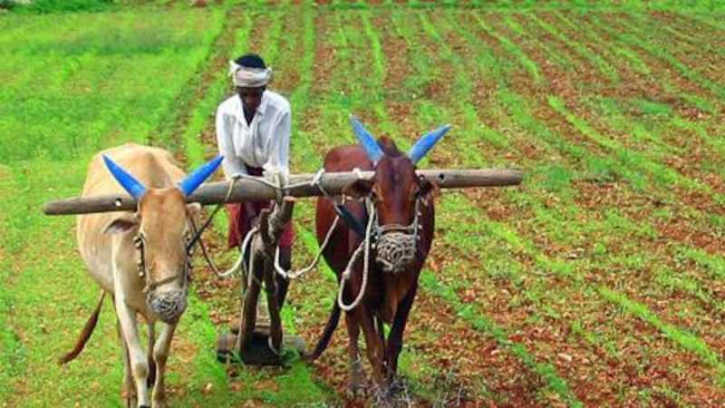 Farmers Farmers