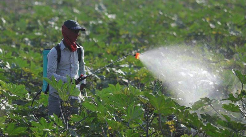 DAP Fertilizer DAP Fertilizer