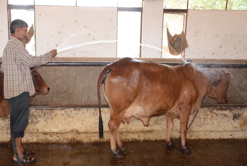 Guru Angad Dev Veterinary Guru Angad Dev Veterinary