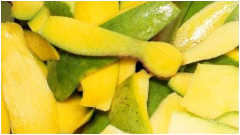 Mango Peel Mango Peel