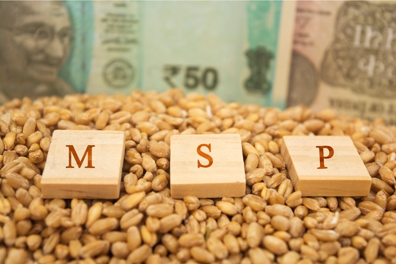 MSP MSP