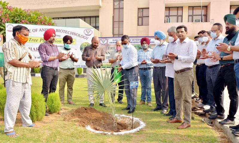 Guru Angad Dev Veterinary Guru Angad Dev Veterinary