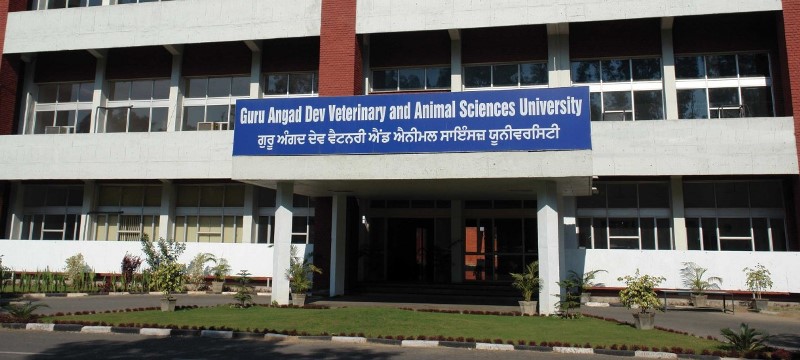 Guru Angad Dev Veterinary Guru Angad Dev Veterinary