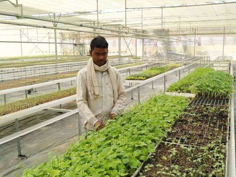 Horticulture Department in Punjab Horticulture Department in Punjab