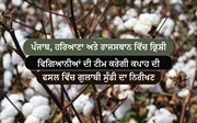ਪੰਜਾਬ, ਹਰਿਆਣਾ ਅਤੇ ਰਾਜਸਥਾਨ ਵਿੱਚ ਕ੍ਰਿਸ਼ੀ ਵਿਗਿਆਨੀਆਂ ਦੀ ਟੀਮ ਕਰੇਗੀ ਕਪਾਹ ਦੀ ਫਸਲ ਵਿੱਚ ਗੁਲਾਬੀ ਸੁੰਡੀ ਦਾ ਨਿਰੀਖਣ