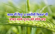 ਕਣਕ ਦੀ ਇਨ੍ਹਾਂ 4 ਤਕਨੀਕੀ ਕਿਸਮਾਂ ਦੀ ਕਾਸ਼ਤ ਕਰਕੇ ਪ੍ਰਾਪਤ ਕਰੋ ਵਧੇਰੇ ਝਾੜ