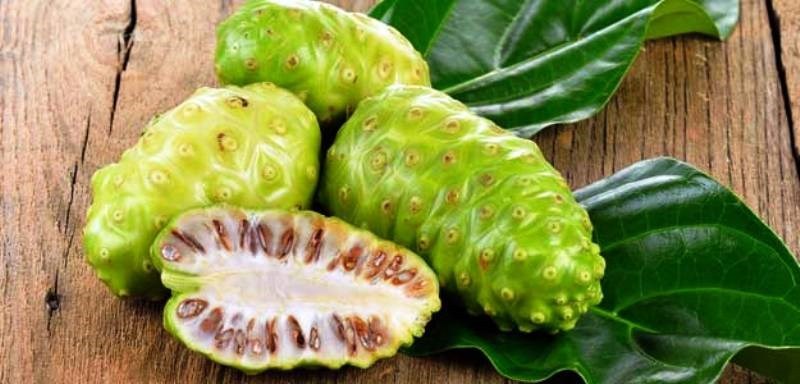 Noni Juice Noni Juice