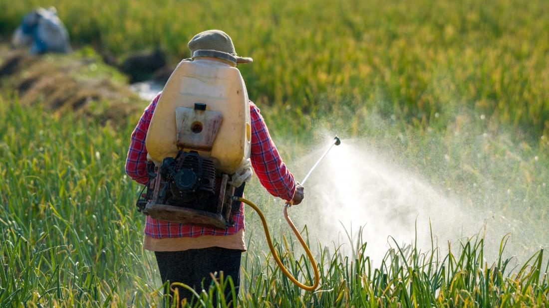 pesticides pesticides