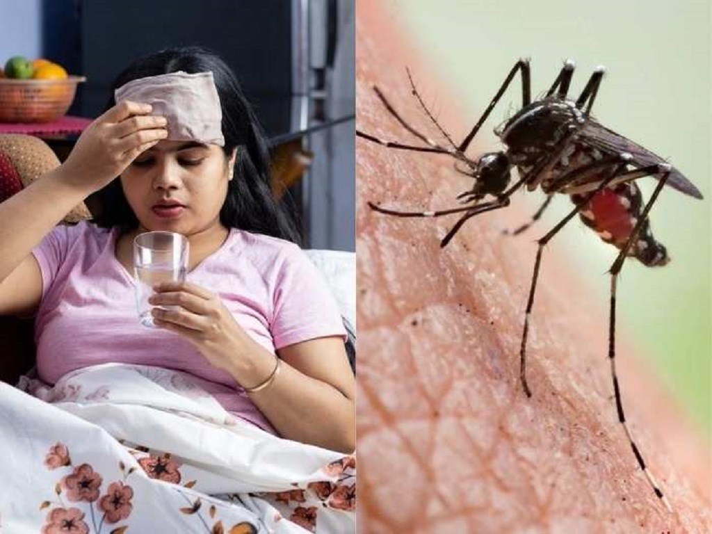 Dengue Viral Dengue Viral