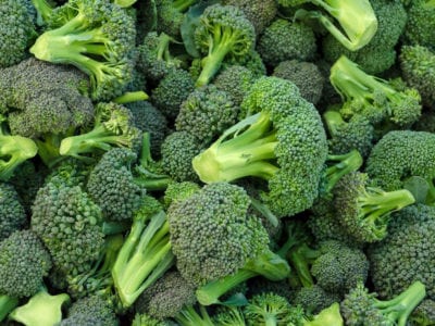 Cultivating Broccoli Cultivating Broccoli