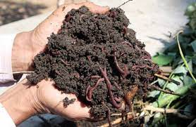 Fertiliser Bussiness Fertiliser Bussiness