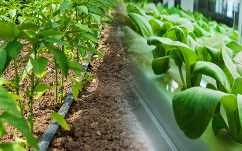 Know How To Farm Without Soil Know How To Farm Without Soil