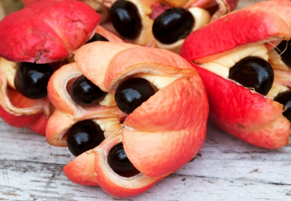 ਏਕੀ (Ackee) ਏਕੀ (Ackee)